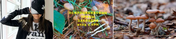 шишки Нижневартовск