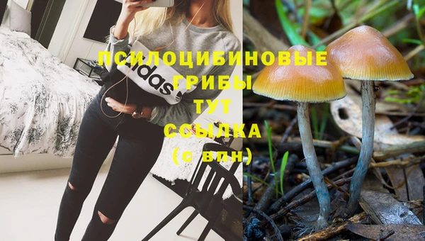 шишки Нижневартовск