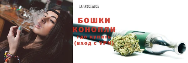 шишки Нижневартовск