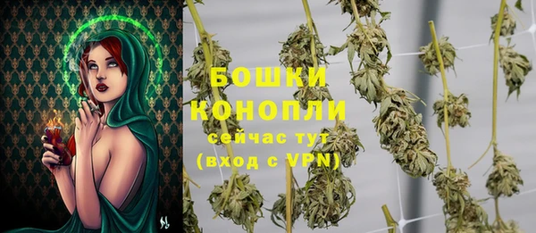 шишки Нижневартовск