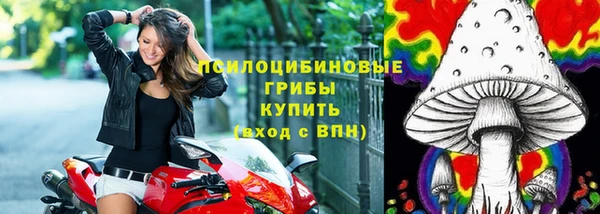 шишки Нижневартовск