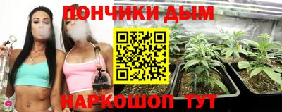 сатива Абакан