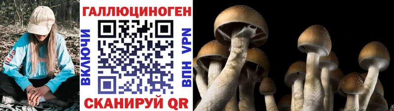 Псилоцибиновые грибы мицелий Асбест