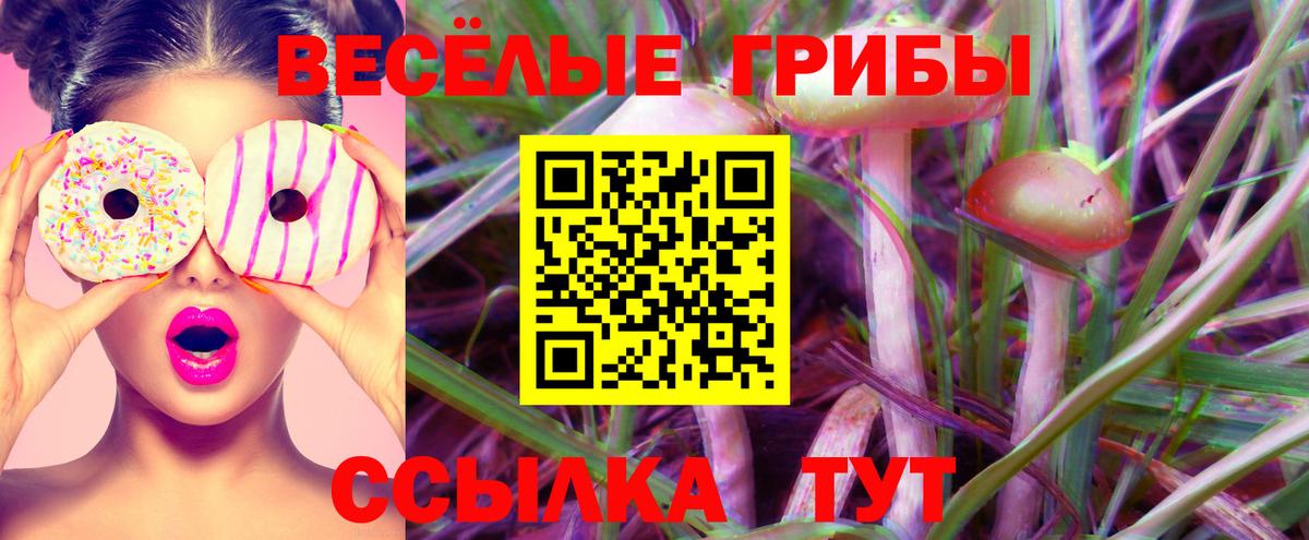 цена наркотик  Вход с VPN  Асбест  Псилоцибиновые грибы Cubensis 